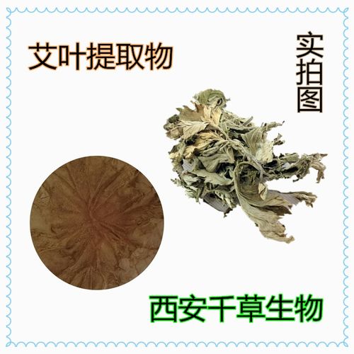 毛冬青葉粉市場行情與產品報價解析