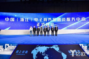 浙江電子商務(wù)投融資高峰論壇圓滿落幕 電商技術(shù)服務(wù)成為新焦點(diǎn)